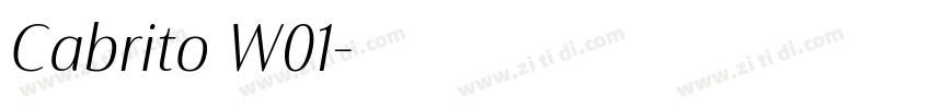 Cabrito W01字体转换